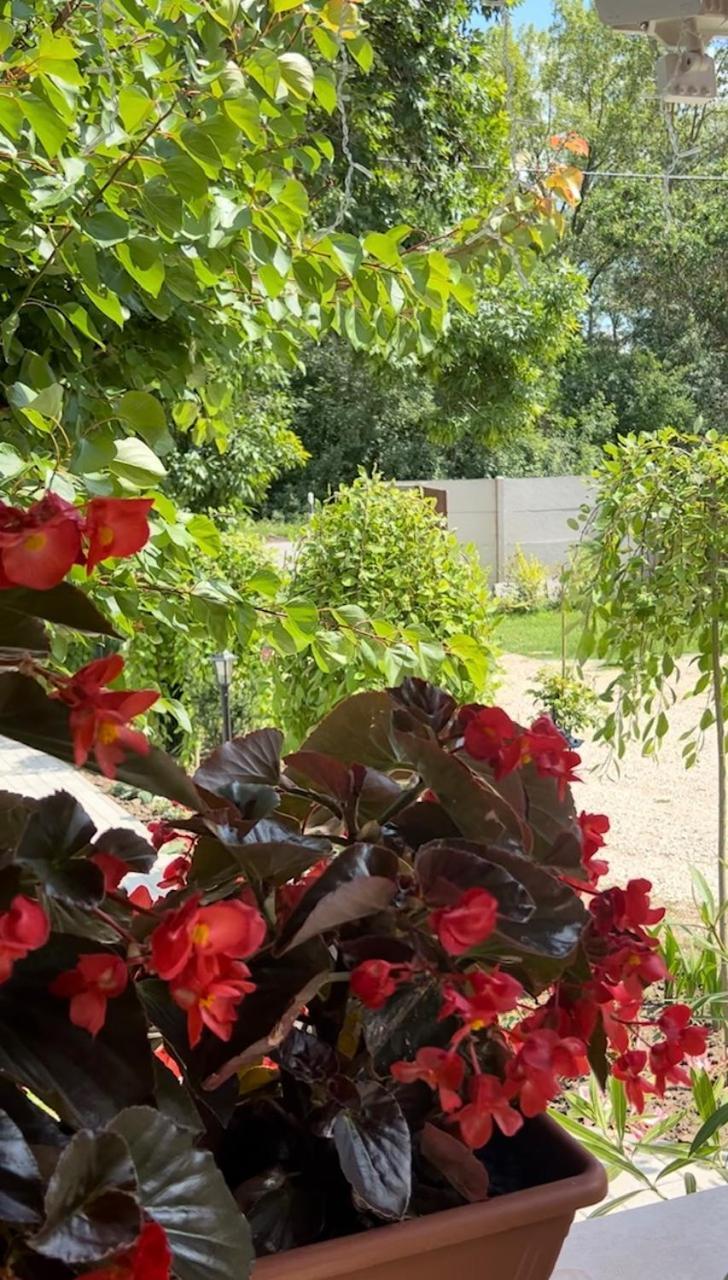 Arany Vendeghaz Szarvas Exterior foto