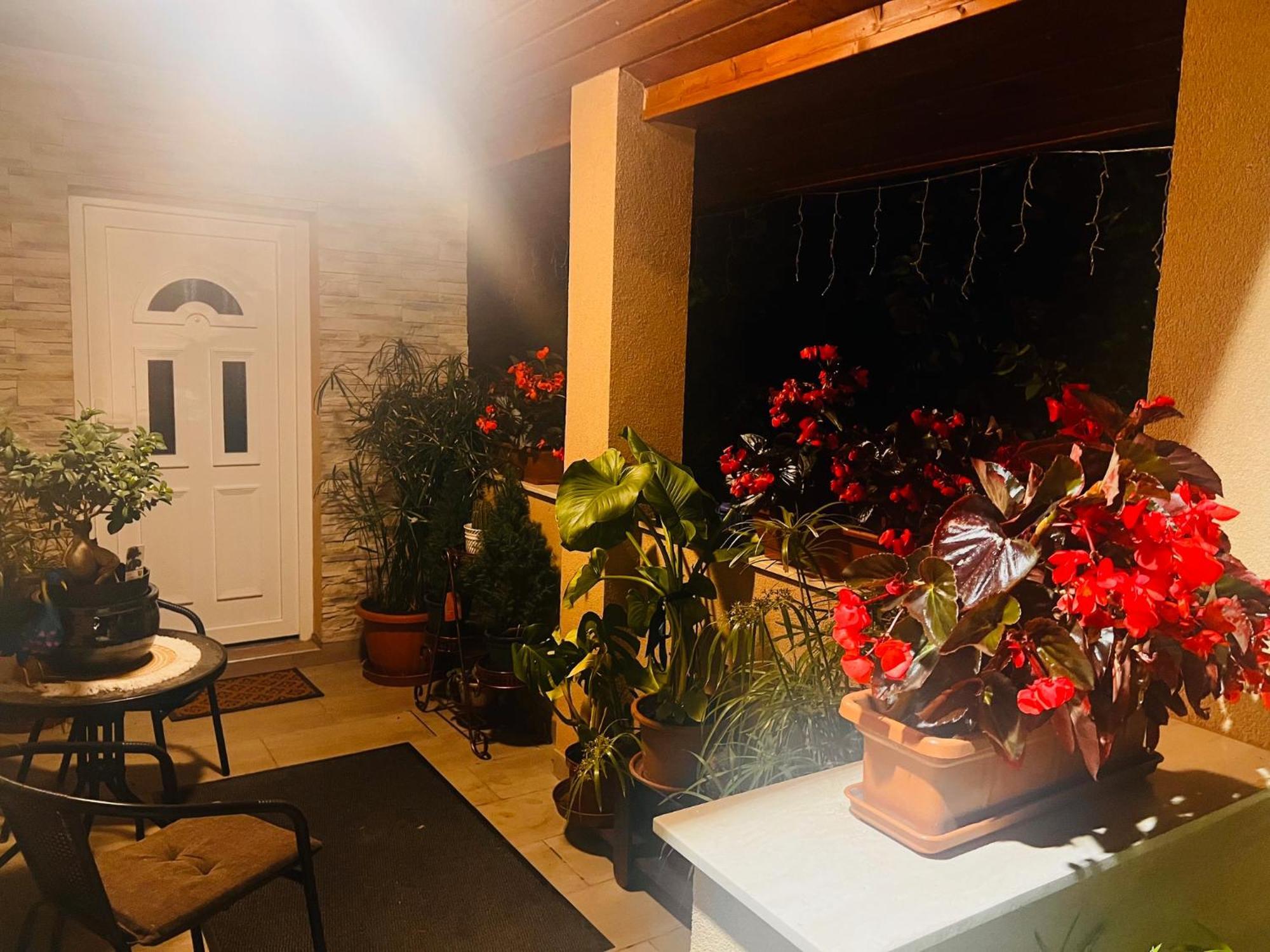 Arany Vendeghaz Szarvas Exterior foto
