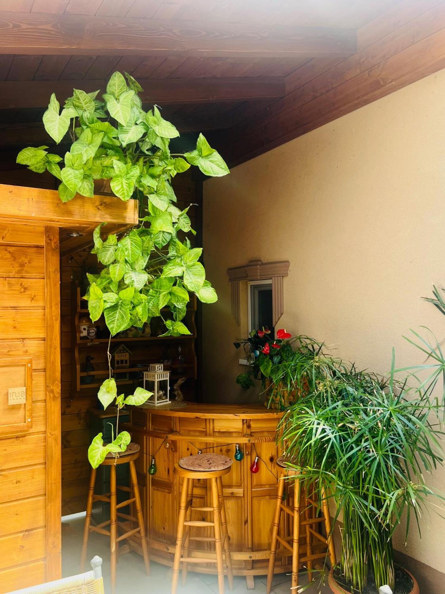 Arany Vendeghaz Szarvas Exterior foto